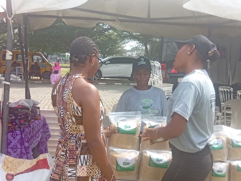 Campus Farms Rice Activation
