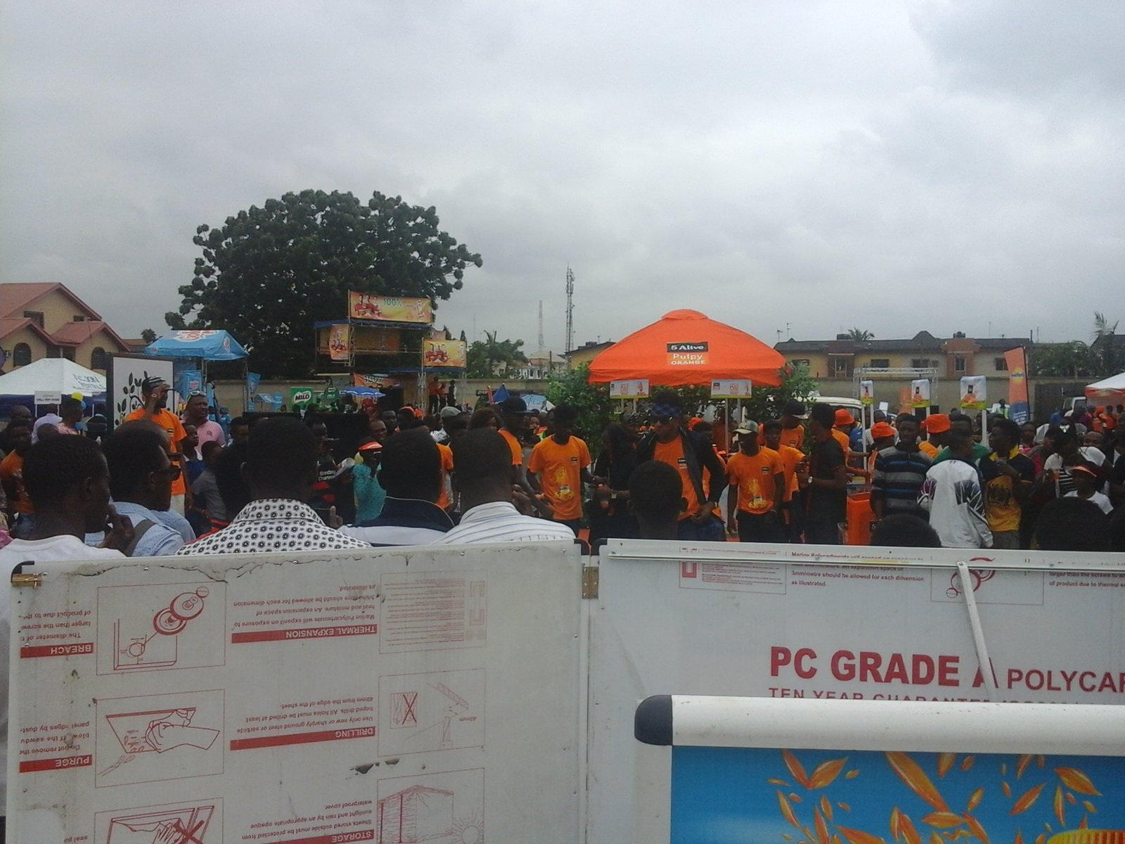 Pulpy Orange Campus Activation